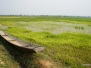 Laos