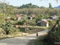 SONY DSC