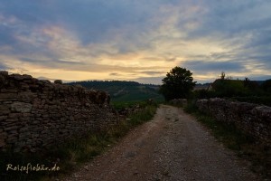 frankreich weinberg sonnenuntergang