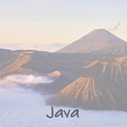 java_d