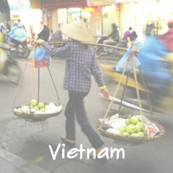 vietnam_d