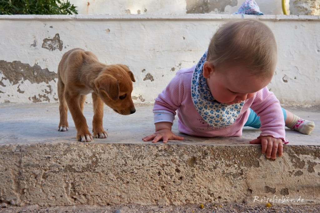 marokko baby und welpe