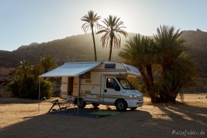 marokko camper unter palmen