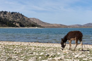 marokko sidi ali lake esel