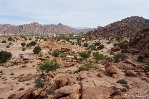 marokko tafraoute stellplatz